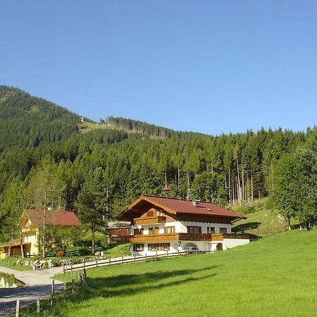 Landhaus Dickhardt Apartment Шладминг Екстериор снимка